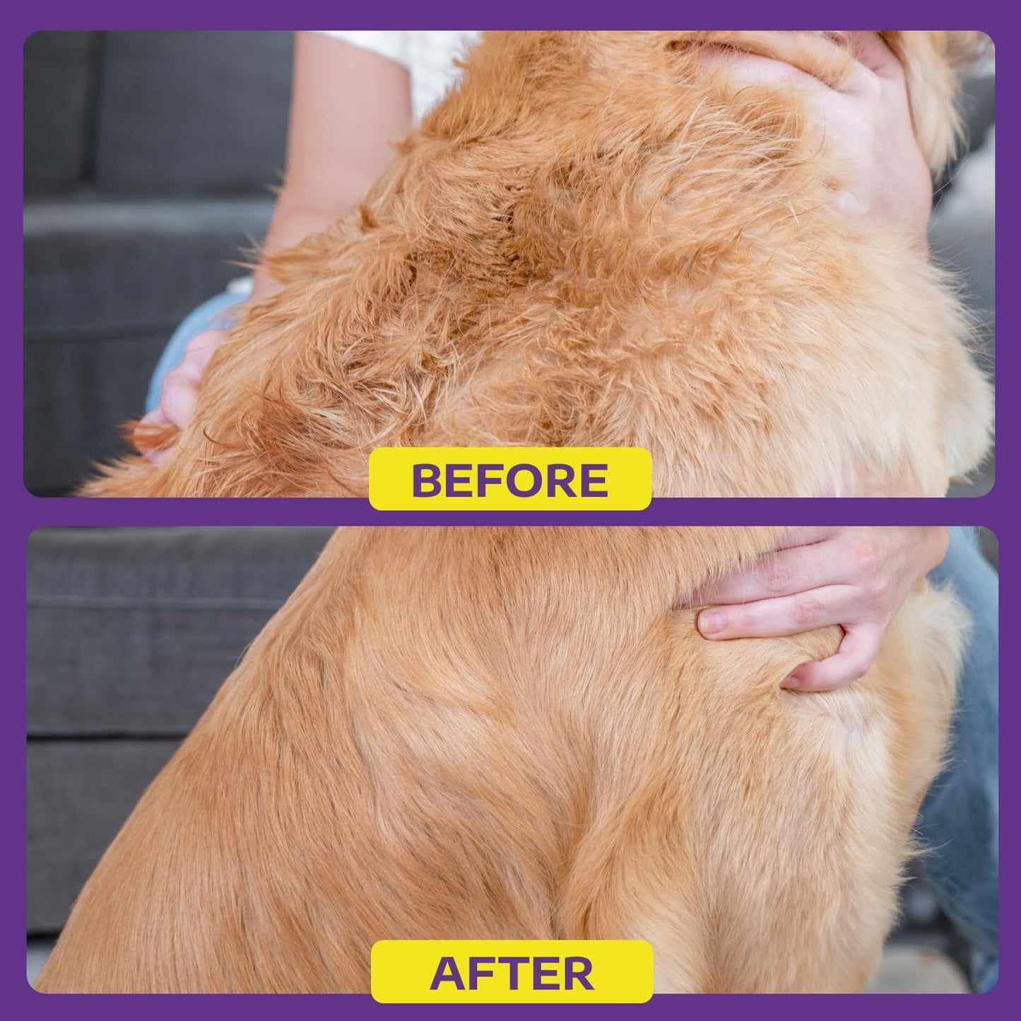Hertzko purple single sided pet dematting comb resting on a clean studio background