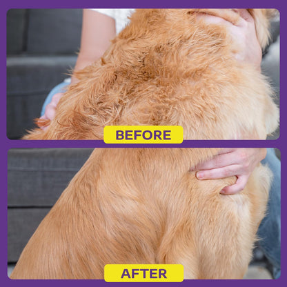 Hertzko purple single sided pet dematting comb resting on a clean studio background