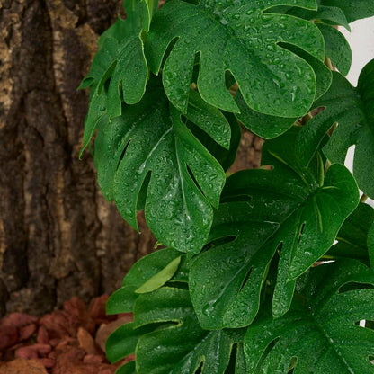 Reptile climbing on Woledoe artificial hanging plants