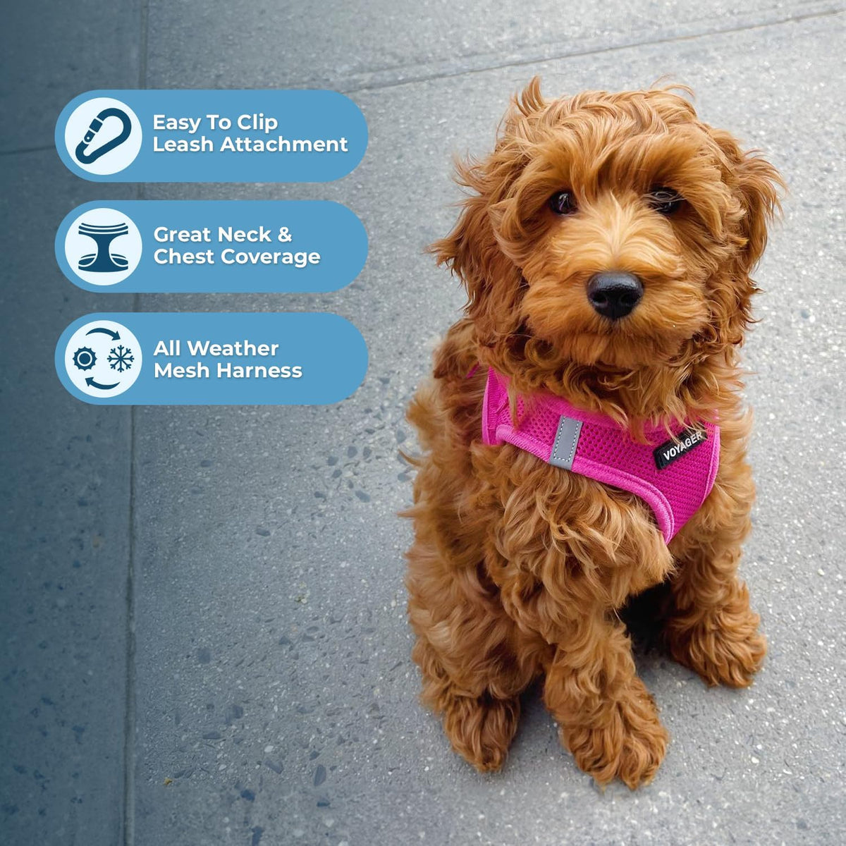 Best Pet Supplies Voyager Step-in Air Harness reflective strip detail