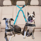 Close up of tangle-free swivel mechanism on SlowTon pet leash