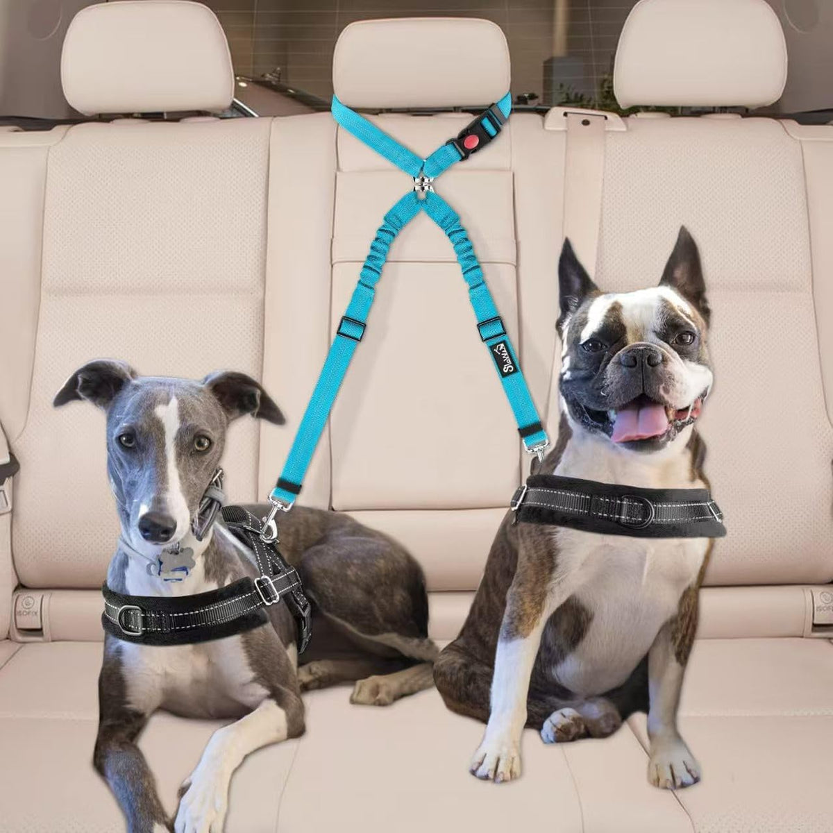 Close up of tangle-free swivel mechanism on SlowTon pet leash