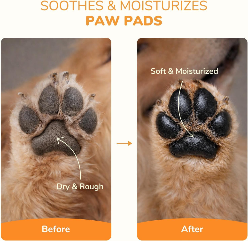 Dog paw balm with coconut oil and shea butter for dry pads