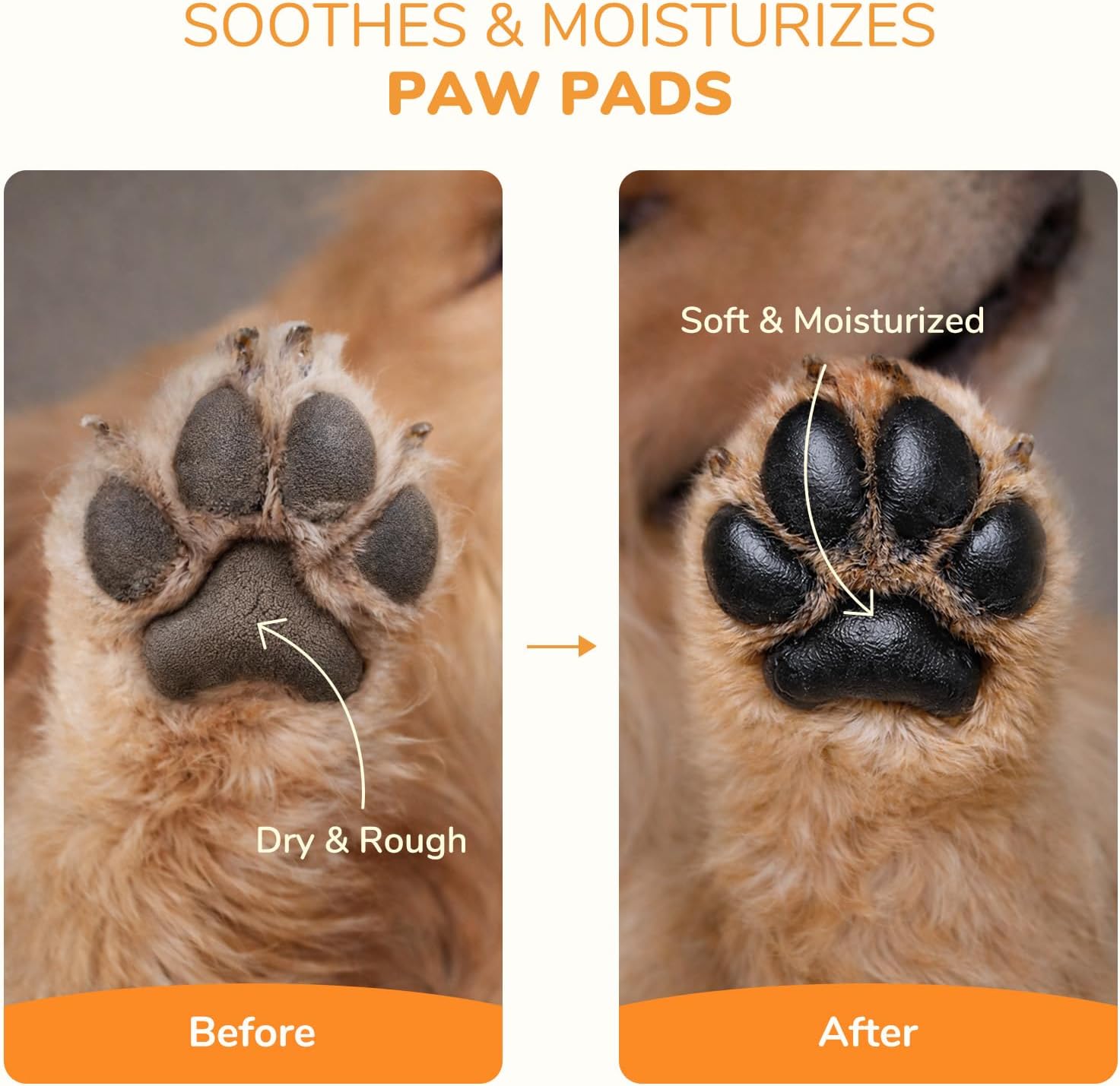 Dog paw balm with coconut oil and shea butter for dry pads