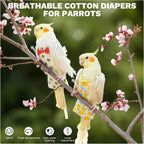 Side profile of parrot wearing washable bird nappy costume