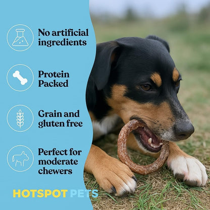 Close up of thick circular single ingredient beef dog treat.