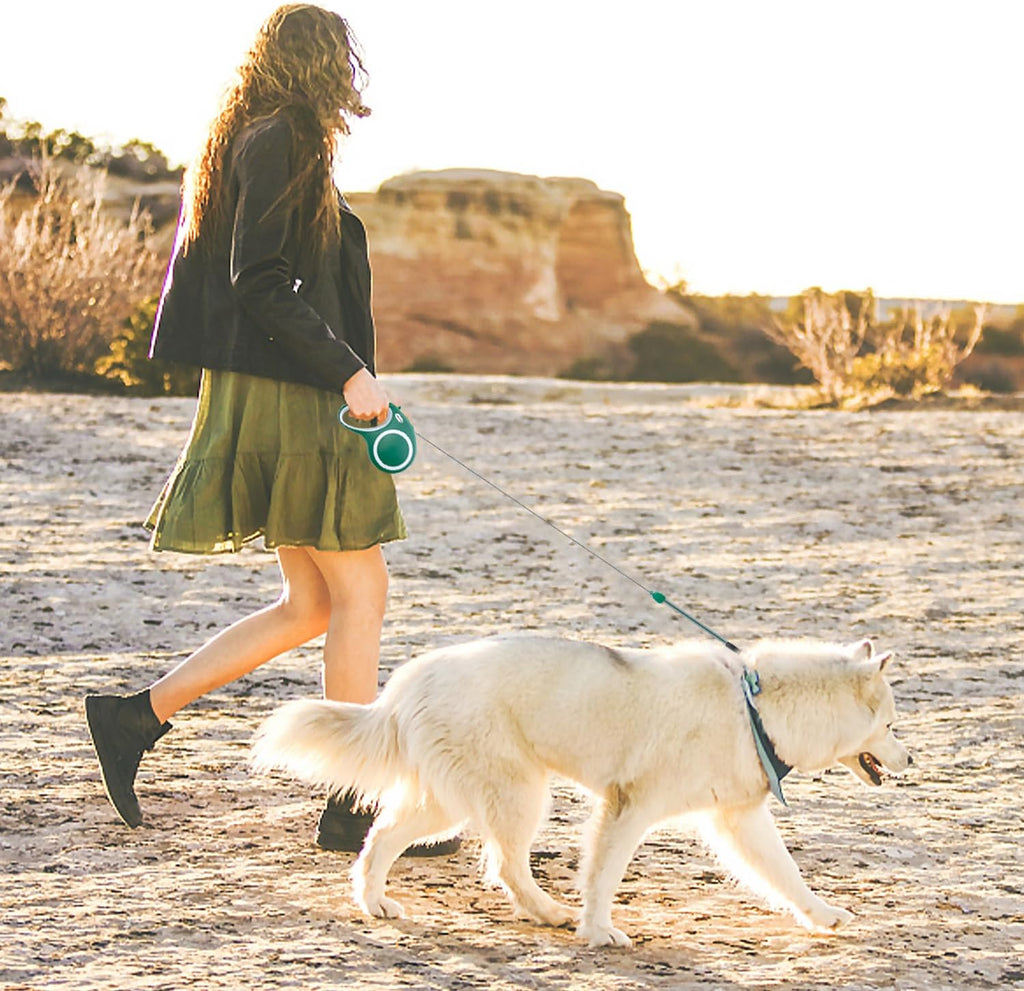 Meekamar retractable dog leash for large dogs in green packaging