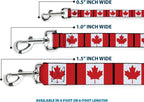 Durable metal hardware clip attached to the heavy-duty dog lead