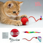 Smart automatic pet chase toy packaging and accessories