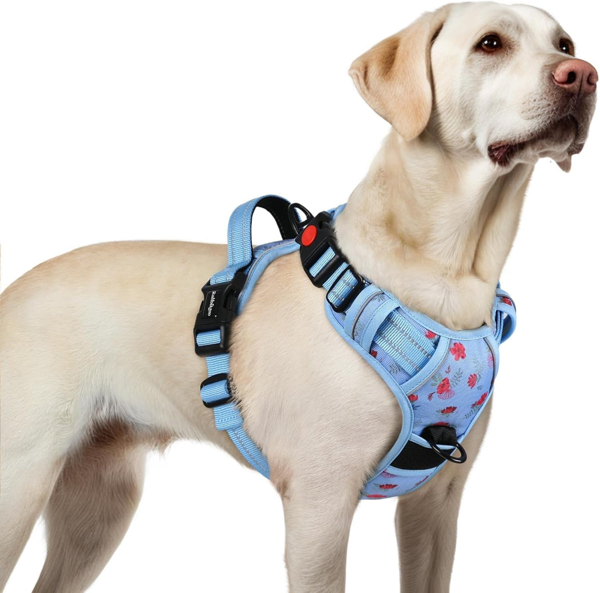 rabbitgoo Dog Harness for Large, No Pull Easy On & Off with 3 Buckles Pet Harness, Adjustable Soft Walking Vest with 2 Clips and Handle, Reflective for Large Dogs, Blue, L - Image 12