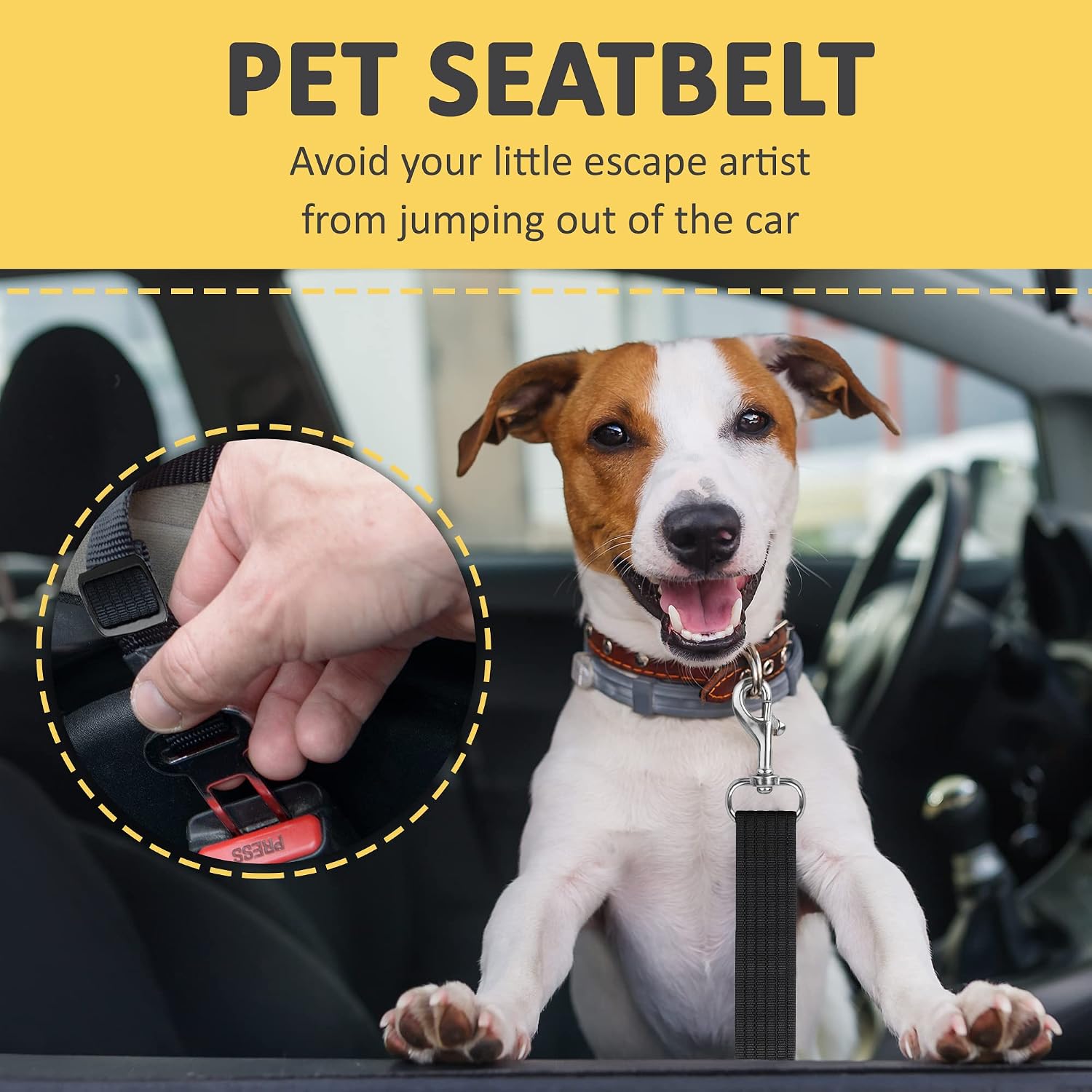SunGrow car restraint for dogs and cats