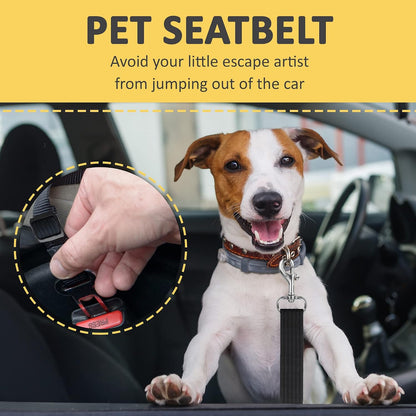 SunGrow car restraint for dogs and cats