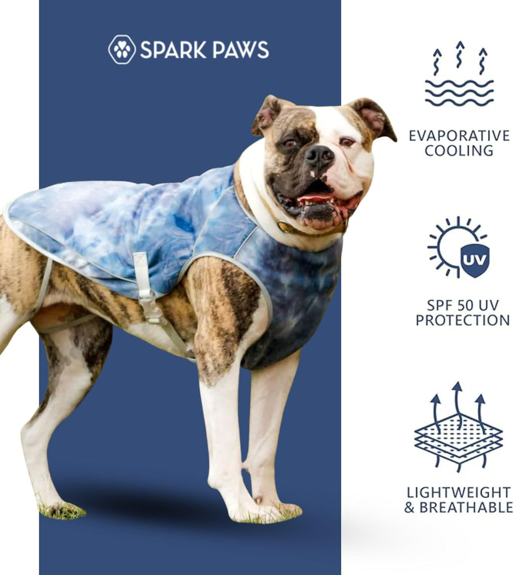 Dog wearing Spark Paws cooling vest outdoors