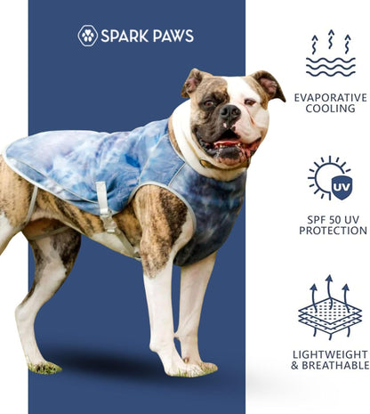 Dog wearing Spark Paws cooling vest outdoors