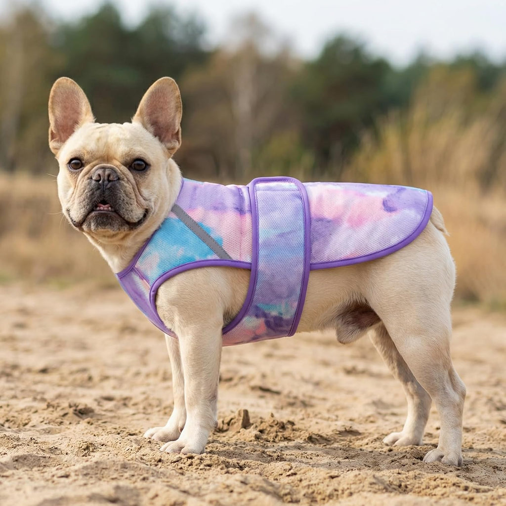 Kyeese summer dog shirt branding and design