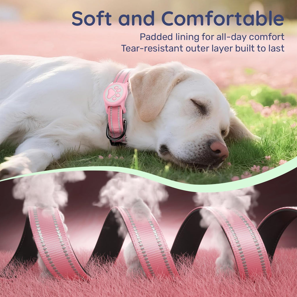 WhoseID airtag dog collar showing safety locking mechanism
