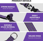 Hikiko adjustable pet training collar stainless steel hardware view