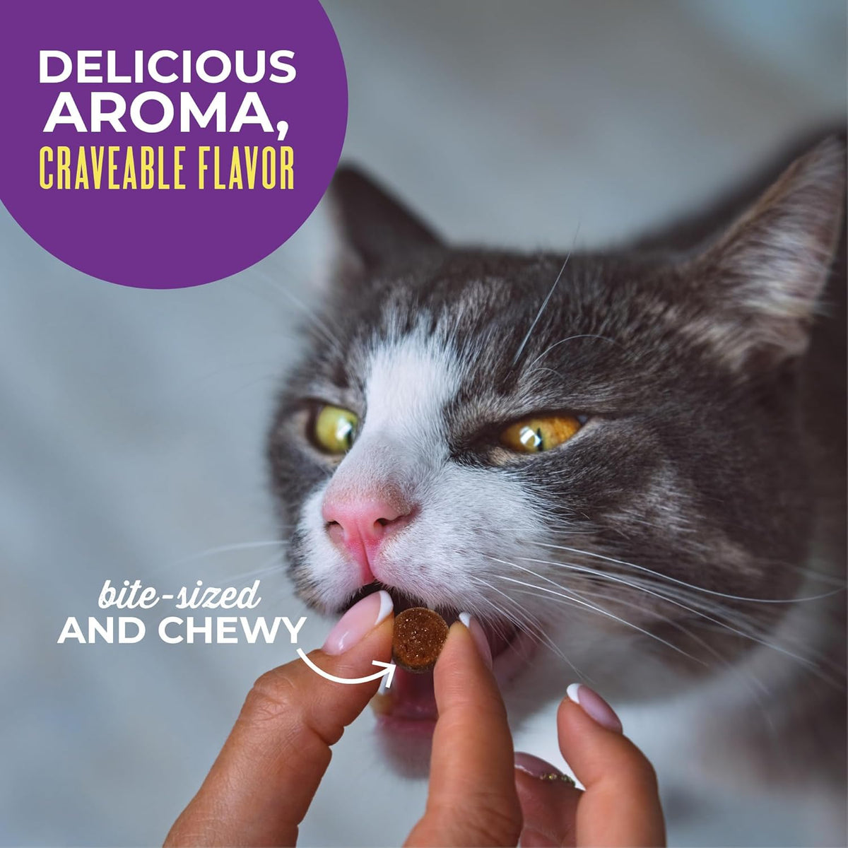 Side profile of Tiki Pets 6 ounce chicken treat pouch