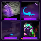 Escolite handheld black light revealing hidden scorpion activity on outdoor ground.