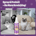 Natural cat repellent liquid being sprayed near indoor household potted plants