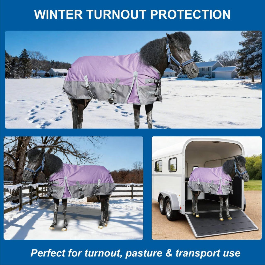 Side profile of miniature horse wearing waterproof blanket