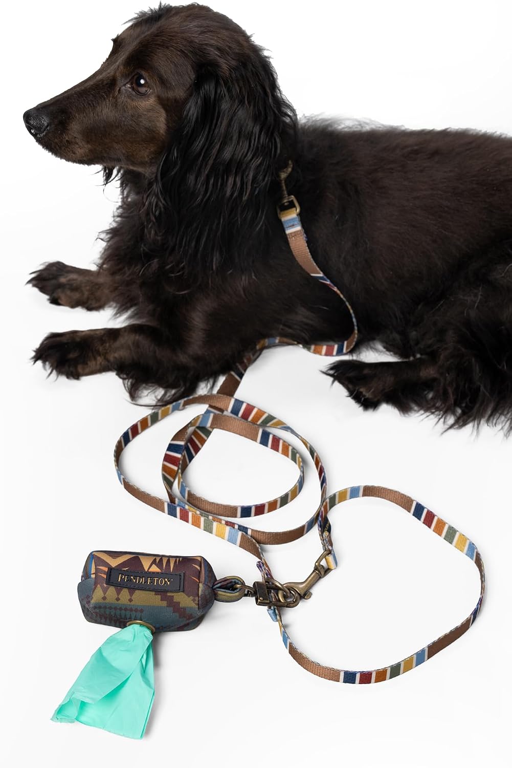Pendleton waste bag dispenser attached to a dog leash