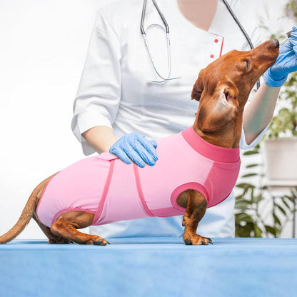 Instructions for fitting Kuoser dog recovery suit