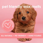 Pet friendly fresh linen scented wax melts being placed in an electric warmer