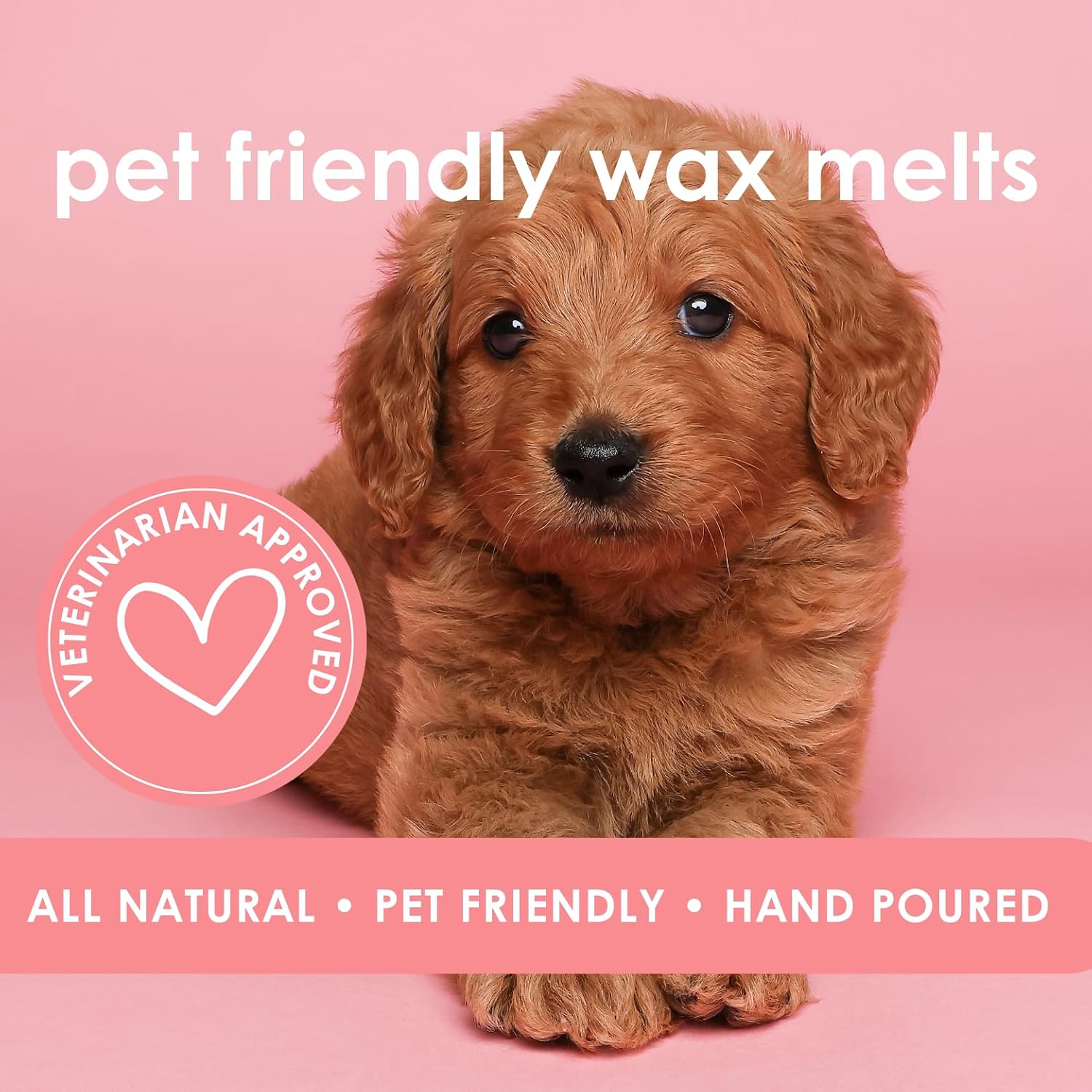 Pet friendly fresh linen scented wax melts being placed in an electric warmer