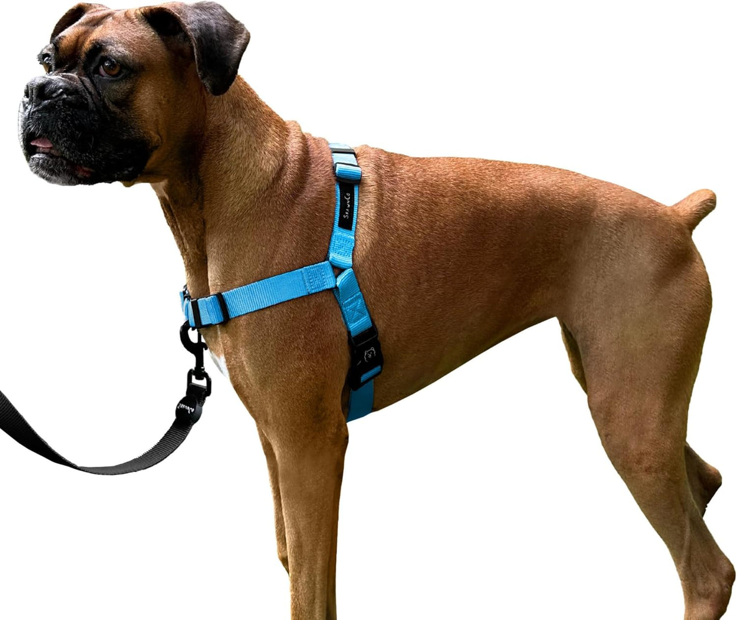 ShawnCo Dream Walk No-Pull Dog Harness front view in Oceanic Blue