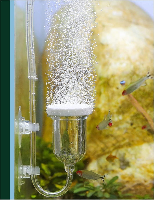 Boxtech aquarium air stone front view for high dissolved oxygen fish tanks.