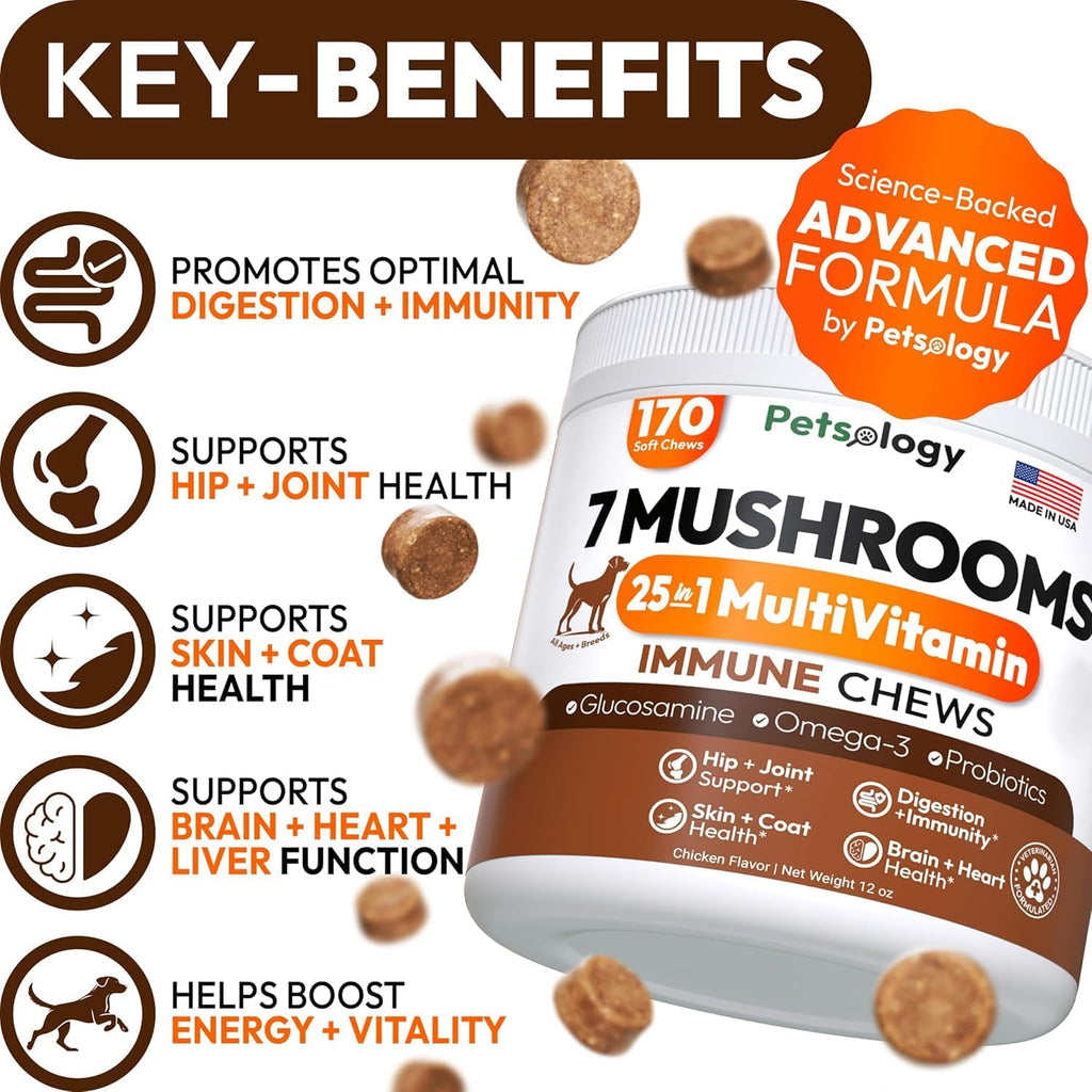 Vet Promise 7 mushroom dog supplement packaging highlighting active ingredients like Lion's Mane and Reishi.