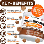 Vet Promise 7 mushroom dog supplement packaging highlighting active ingredients like Lion's Mane and Reishi.