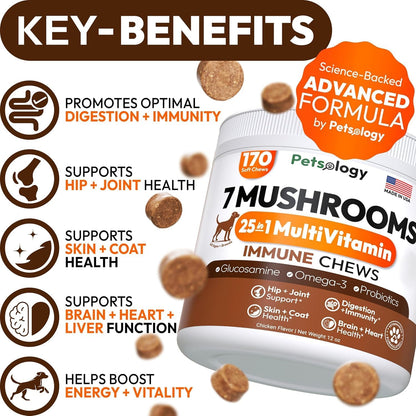 Vet Promise 7 mushroom dog supplement packaging highlighting active ingredients like Lion's Mane and Reishi.