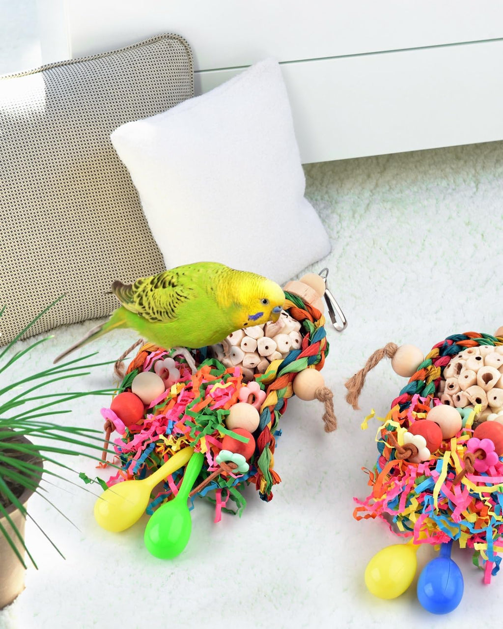 Parakeet playing with Bissap natural shredding bird toy