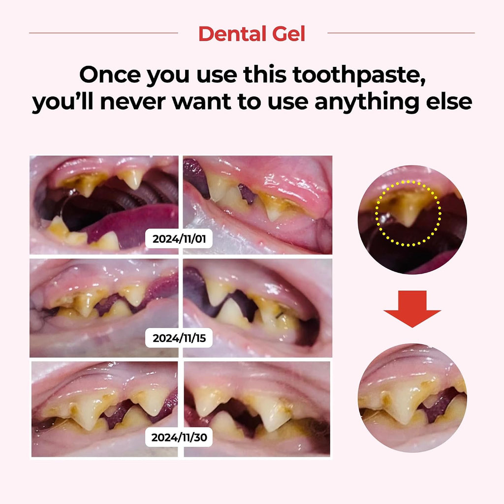 Back of packaging showing ingredients for Jayu Pet dental gel