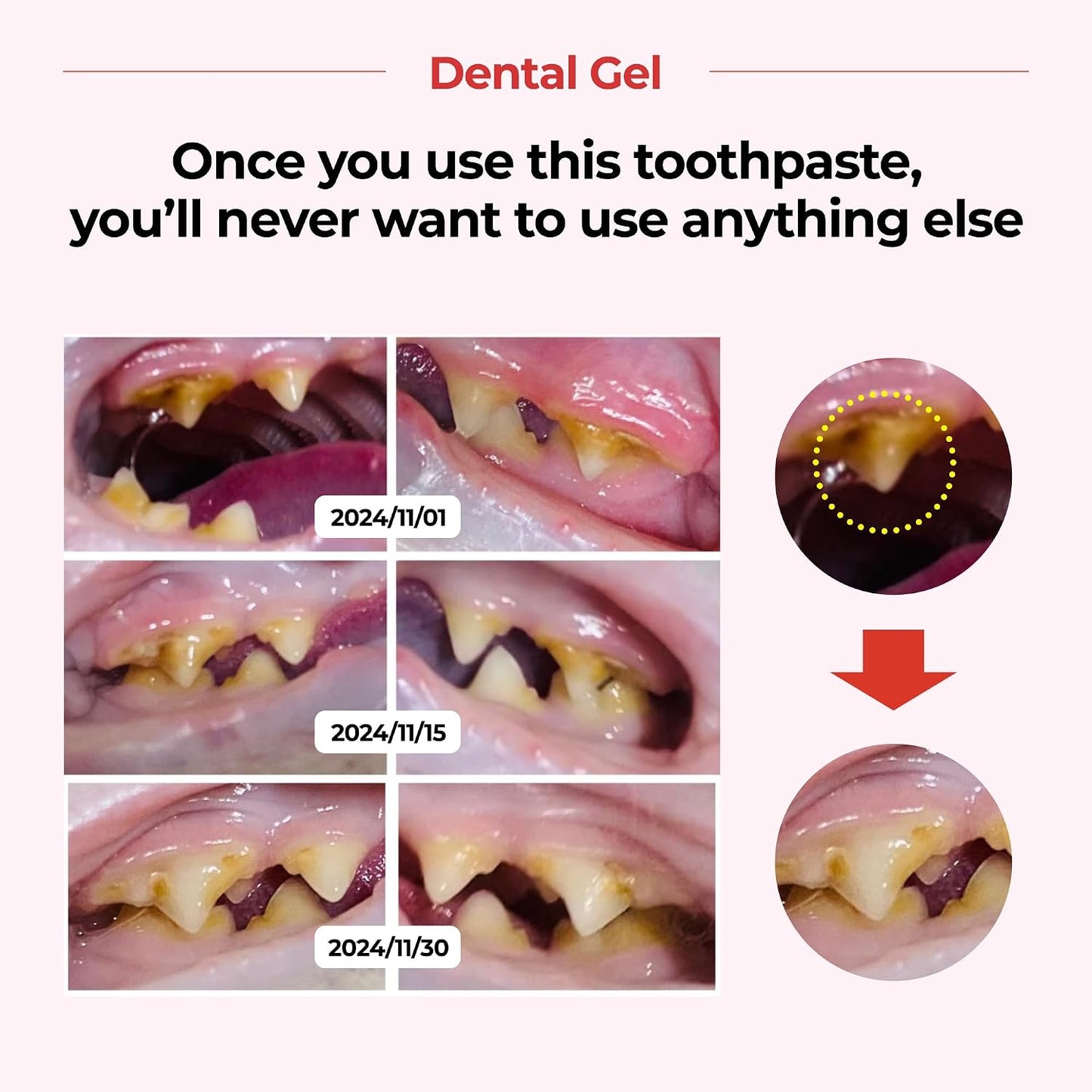 Back of packaging showing ingredients for Jayu Pet dental gel