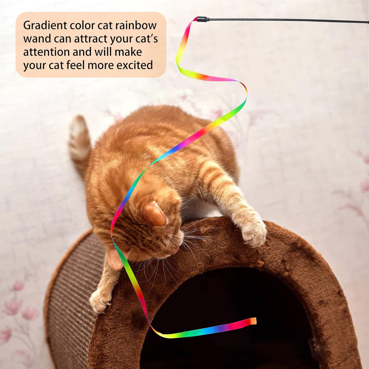 Indoor kitten chasing the vibrant Amaxiu rainbow ribbon charmer stick