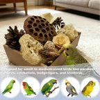 Small parakeet interacting with PINEPOP natural shredding toy.