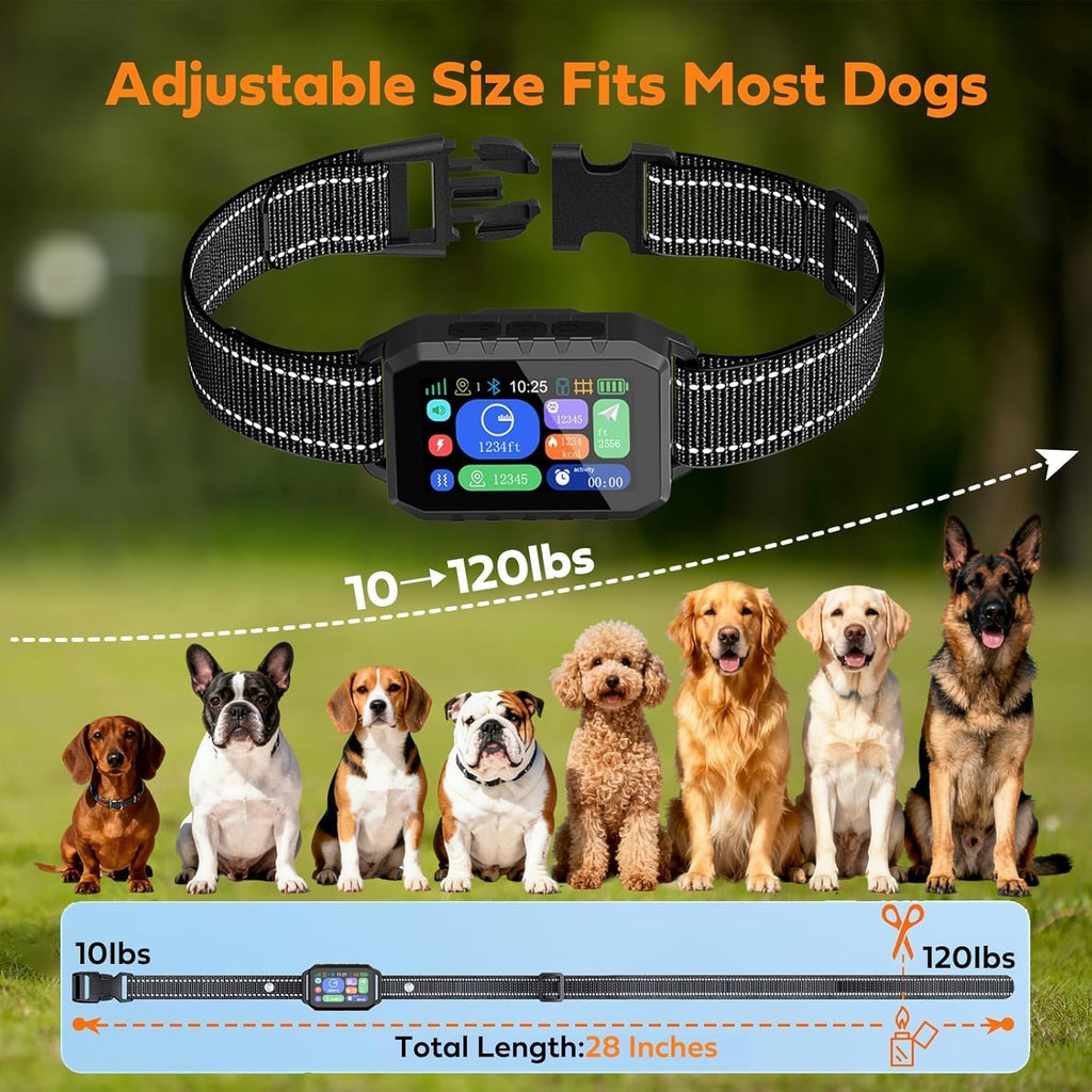 Rechargeable smart pet collar tracking system highlighting the safe contact points
