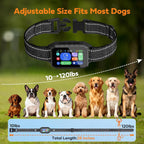 Rechargeable smart pet collar tracking system highlighting the safe contact points