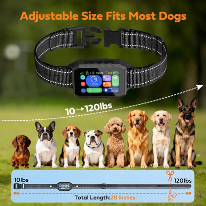Rechargeable smart pet collar tracking system highlighting the safe contact points
