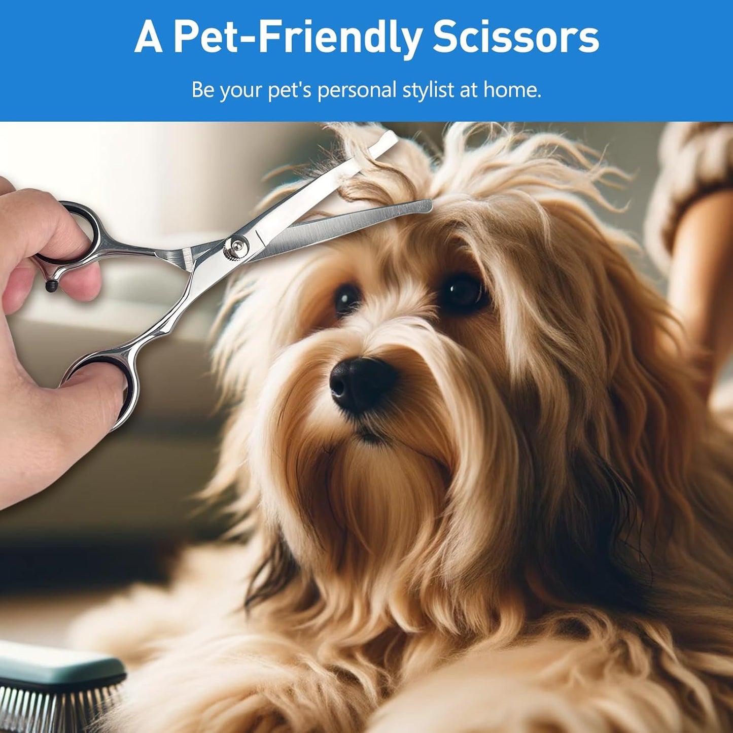 Jaasuee premium pet grooming tools packaging view showing all components clearly
