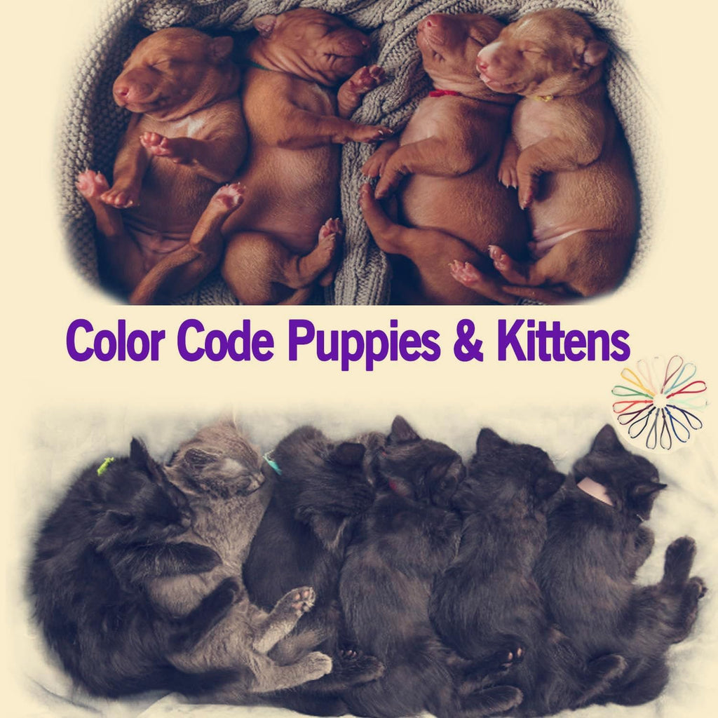 Washable and reusable small animal identification loops showing their durable tubular core texture.