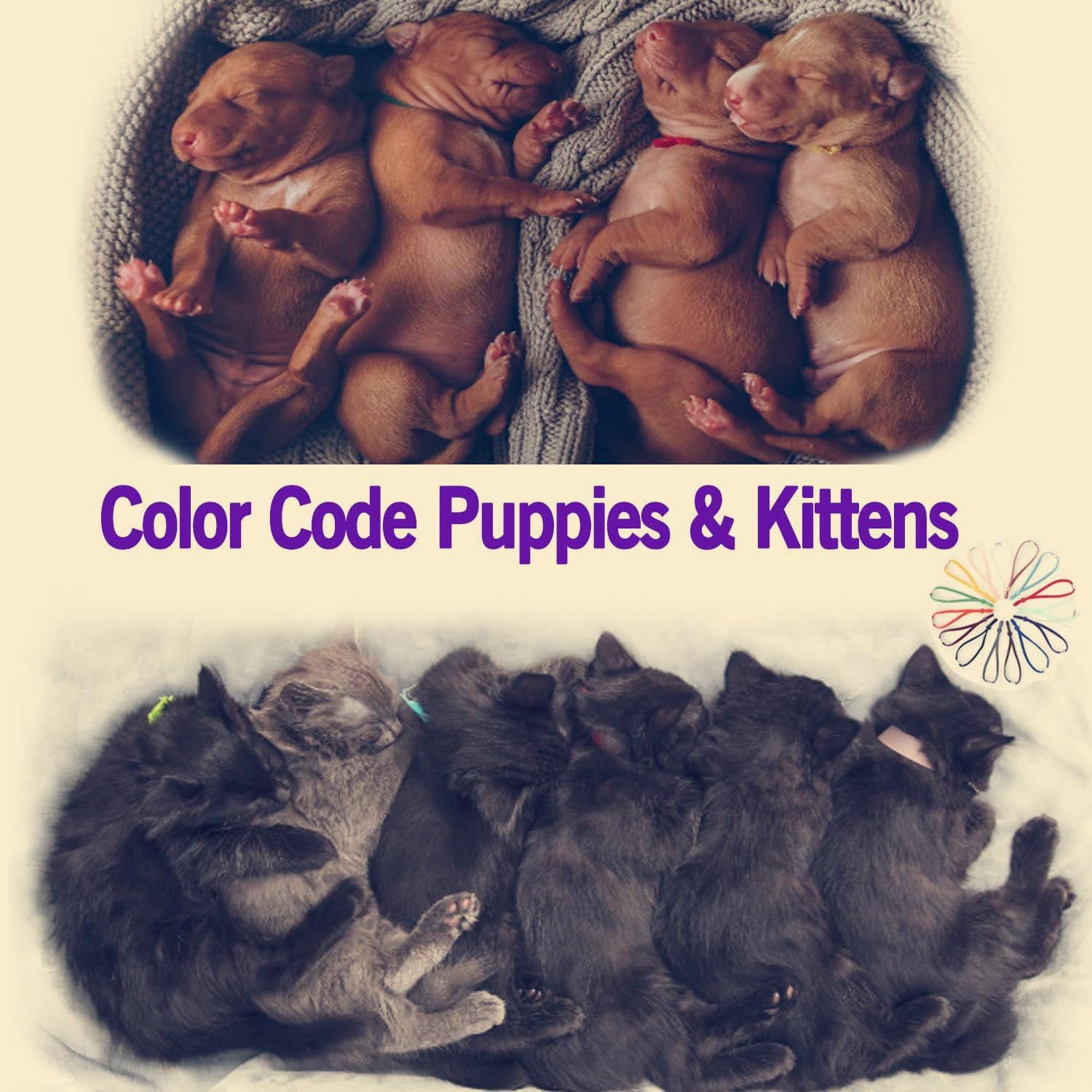 Washable and reusable small animal identification loops showing their durable tubular core texture.
