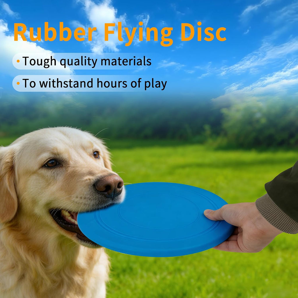 Dog playing with RSSLygaeonix disc at the beach