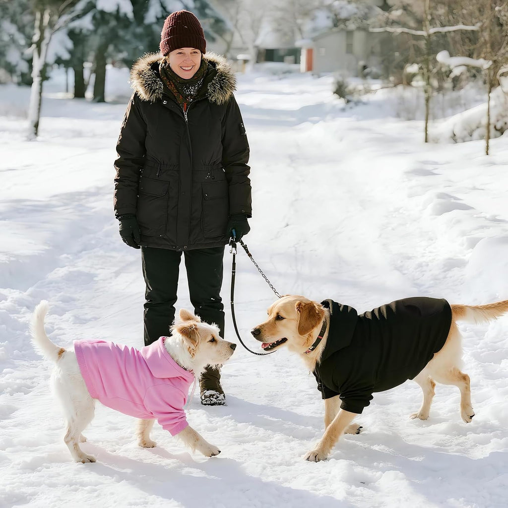 Classic black hooded pet sweater for cold weather outdoor walks