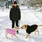 Classic black hooded pet sweater for cold weather outdoor walks