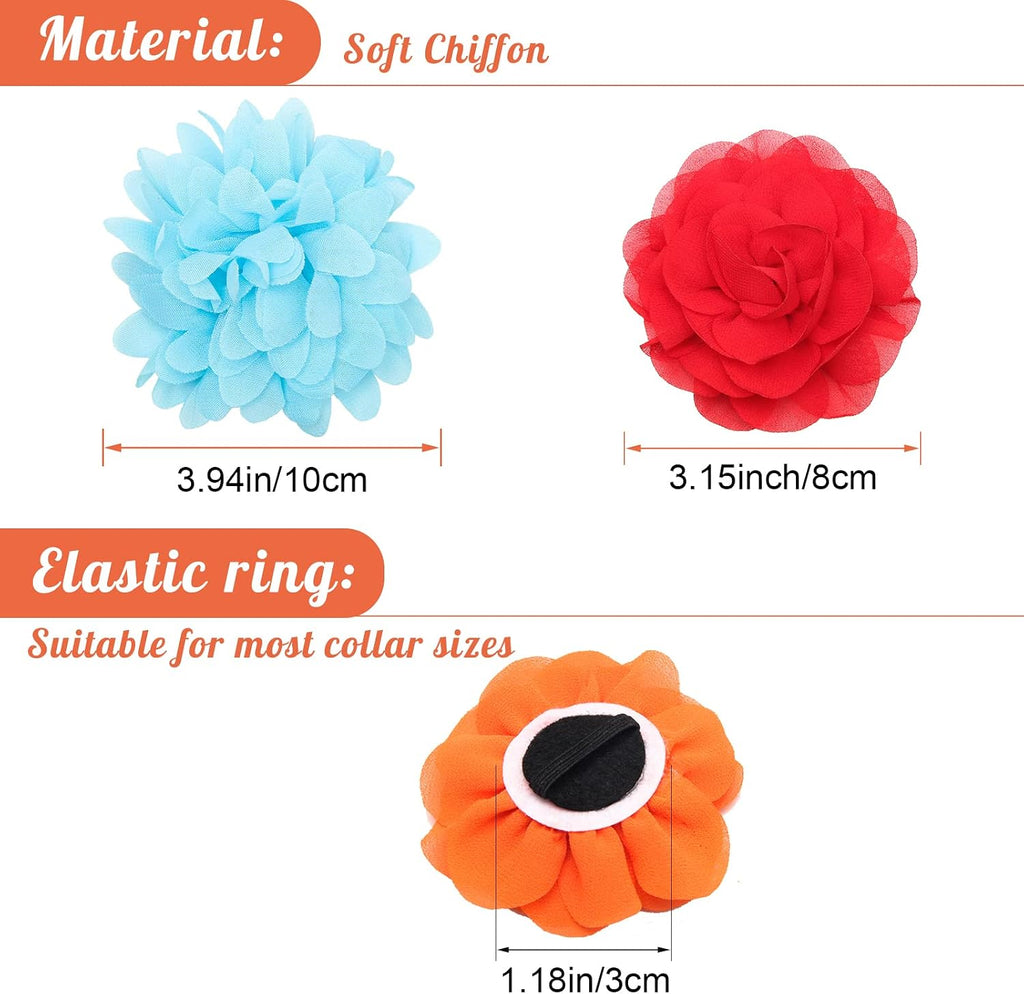 Fluffy Havanese puppy wearing a colorful soft chiffon pet flower charm