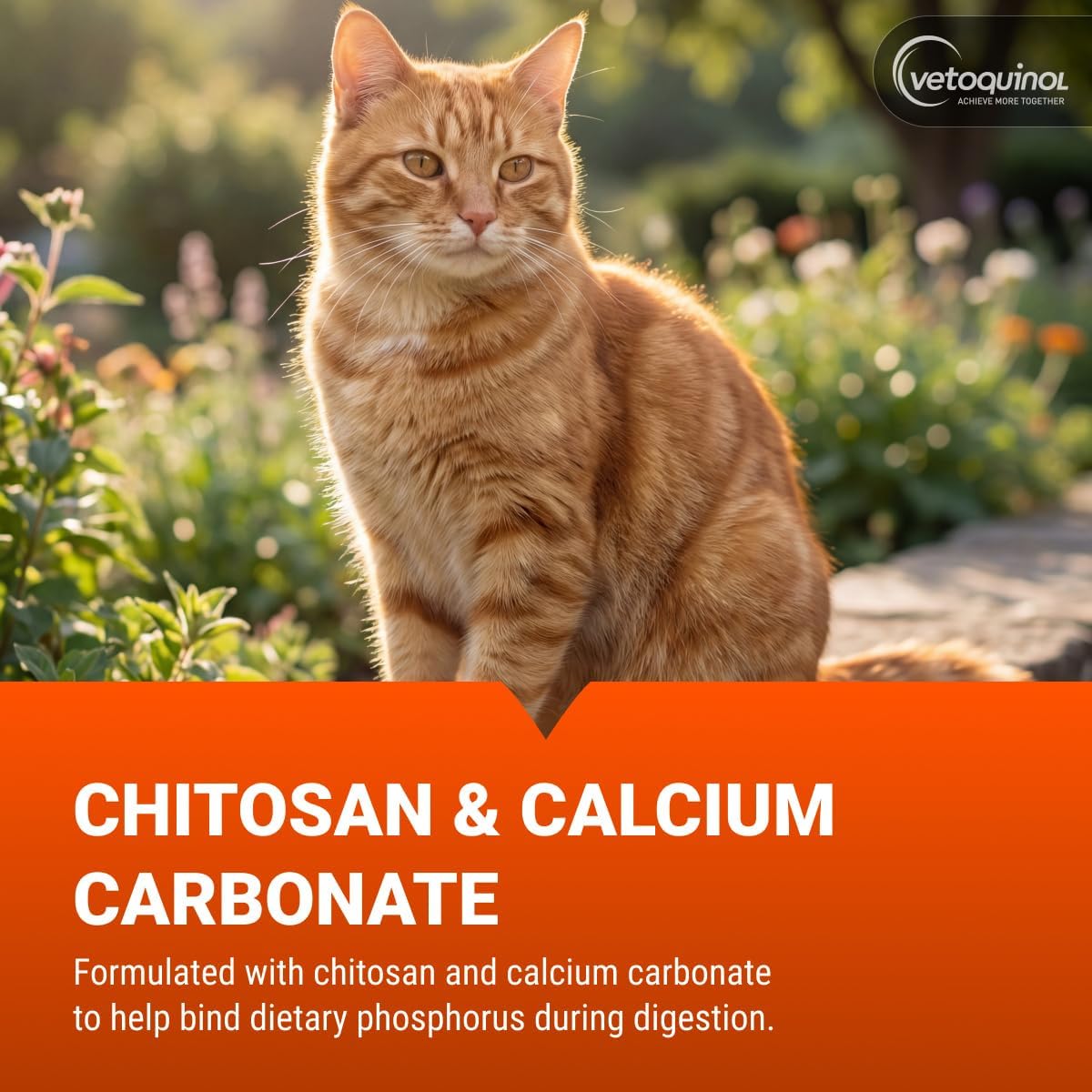Authentic USA imported Epakitin for dogs and cats